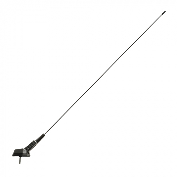 Antena Auto Pavilion [1]