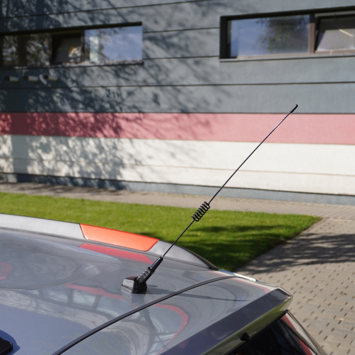 Antena Pavilion Cu Arc [4]