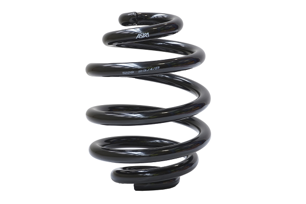 Arc suspensie spate ASAM 05641 [2]