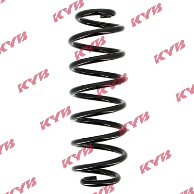 Arc suspensie spate KYB RA6166 [2]