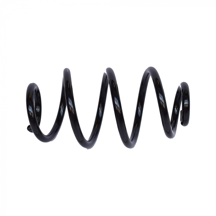 Arc suspensie spate ASAM 05543 [2]