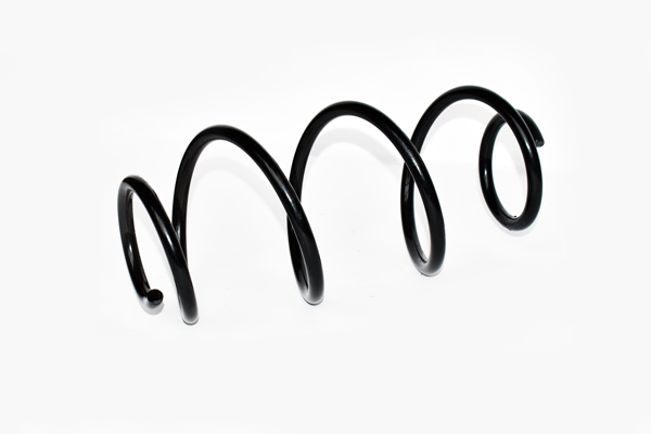 Arc suspensie spate ASAM 74747 [2]