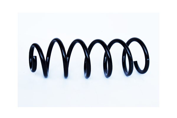 Arc suspensie spate ASAM 74748 [2]