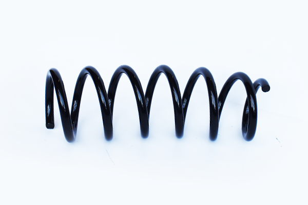 Arc suspensie spate ASAM 74749 [2]