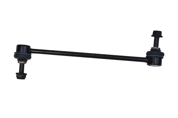 Bieleta antiruliuI ASAM 67502 [2]