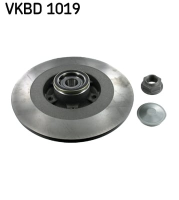 Disc frana spate SKF VKBD1019 [1]