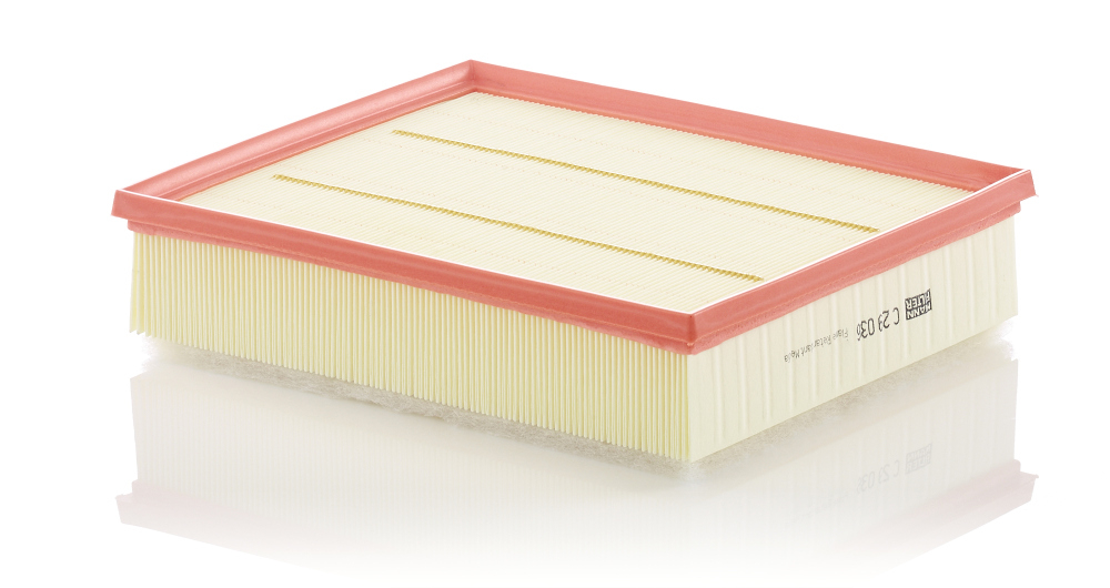 Filtru aer Mann-Filter C29036 [1]