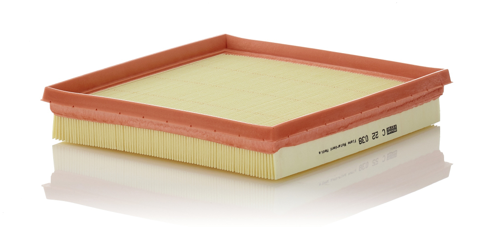 Filtru aer Mann-Filter C22038 [1]