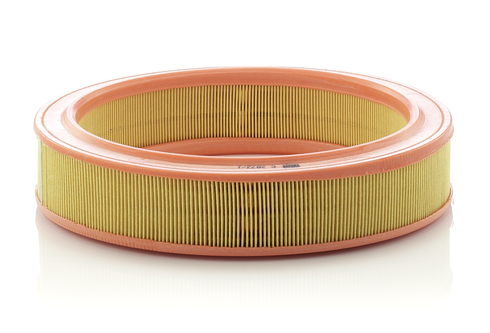 Filtru aer Mann-Filter C2873/1 [1]