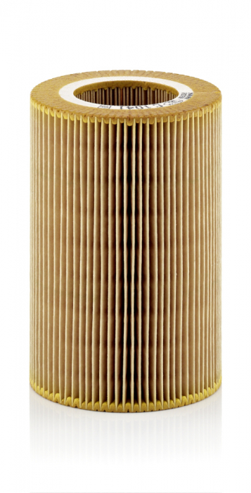 Filtru Aer Mann-Filter C1041 [1]