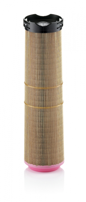 Filtru Aer Mann-Filter C12178/2 [1]