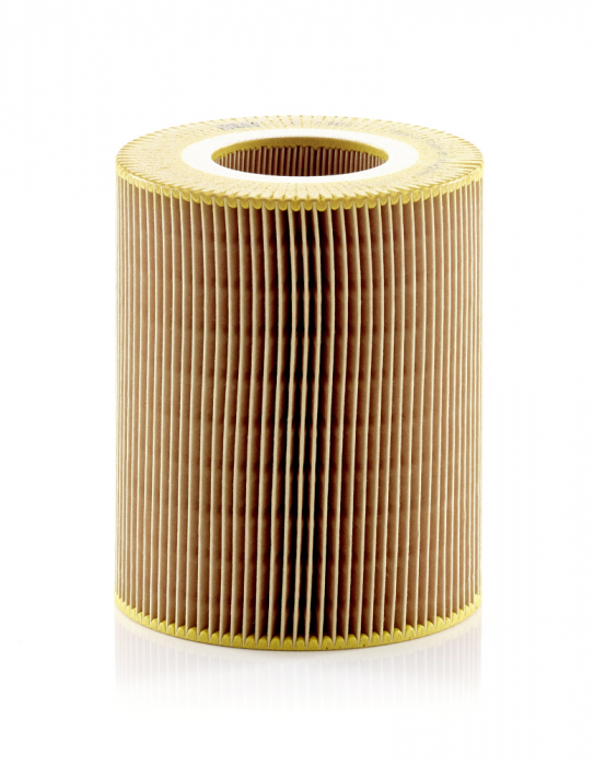Filtru Aer Mann-Filter C1381 [1]