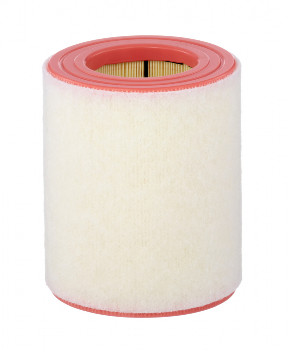 Filtru Aer Mann-Filter C16005 [1]
