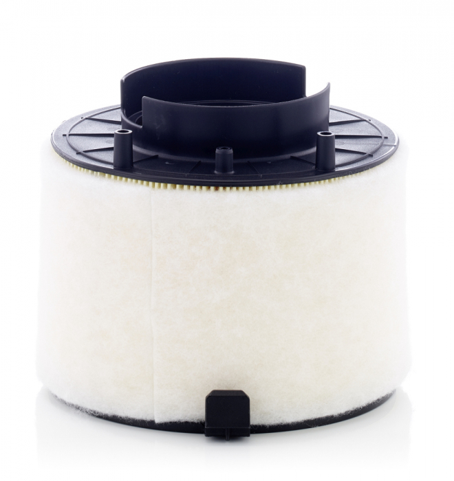 Filtru Aer Mann-Filter C17009 [1]