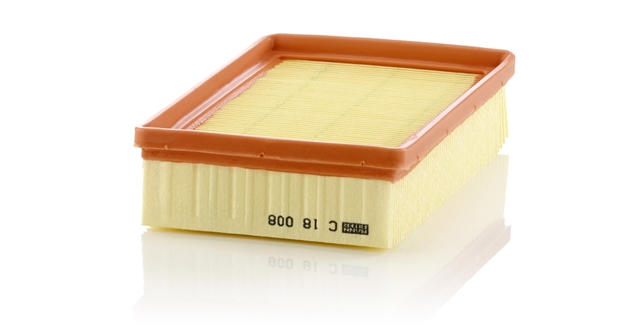 Filtru aer Mann-Filter C18008 [1]
