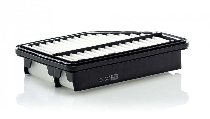 Filtru Aer Mann-Filter C20003 [1]