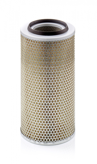 Filtru Aer Mann-Filter C20325/2 [1]