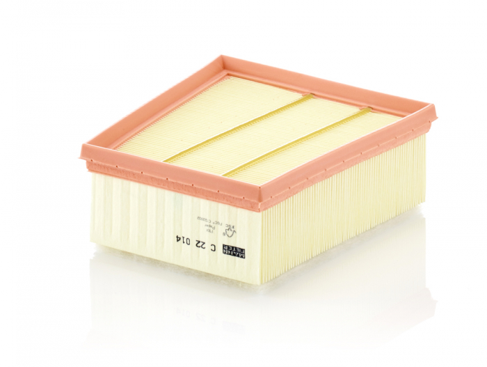 Filtru Aer Mann-Filter C22014 [1]