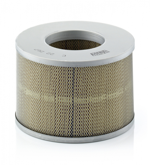 Filtru Aer Mann-Filter C22267 [1]