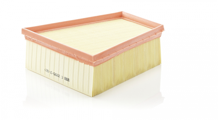 Filtru Aer Mann-Filter C2295/3 [1]