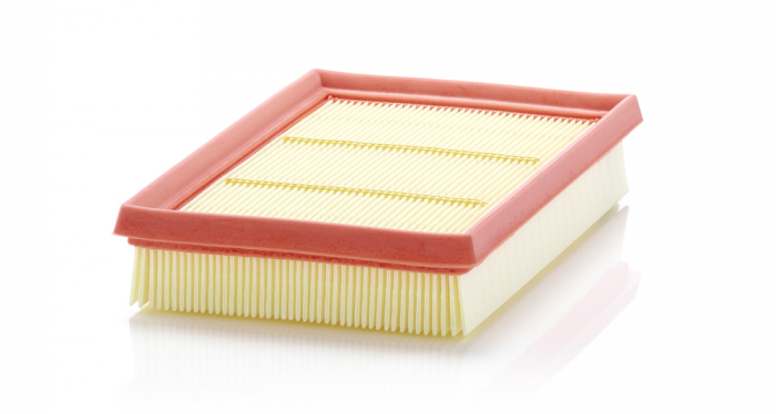 Filtru Aer Mann-Filter C24076 [1]