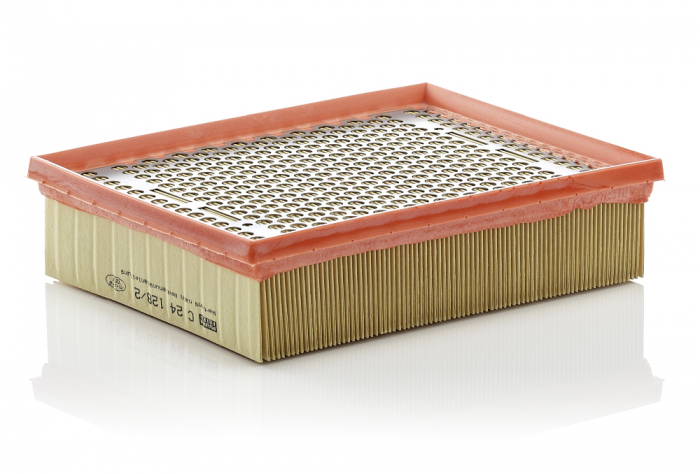 Filtru Aer Mann-Filter C24128/2 [1]