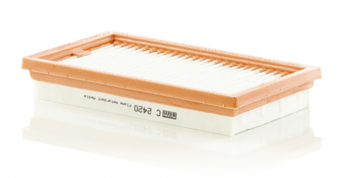 Filtru Aer Mann-Filter C2420 [1]