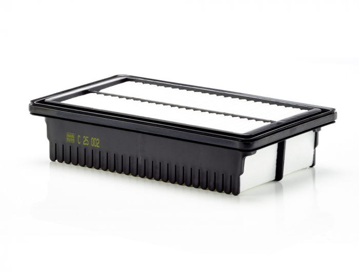 Filtru Aer Mann-Filter C25002 [1]