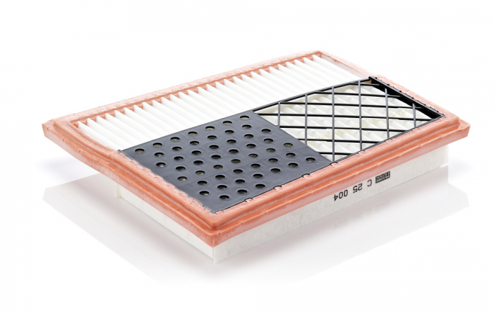 Filtru Aer Mann-Filter C25004 [1]
