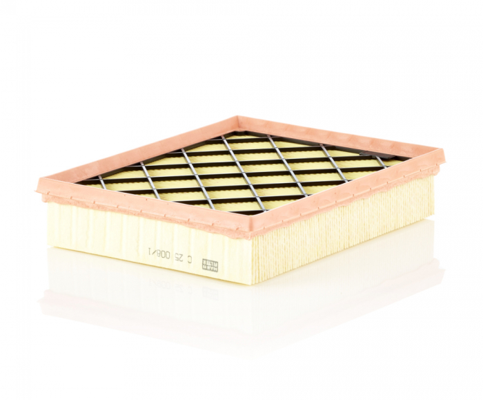 Filtru Aer Mann-Filter C25008/1 [1]