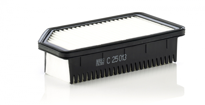 Filtru Aer Mann-Filter C25013 [1]