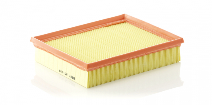 Filtru Aer Mann-Filter C25015 [1]