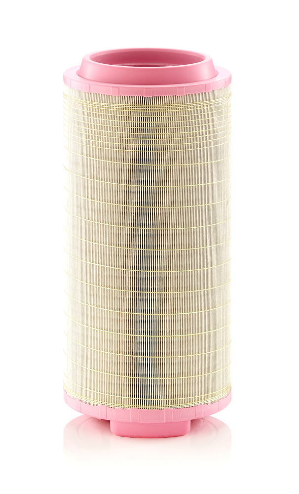 Filtru aer Mann-Filter C25024 [1]