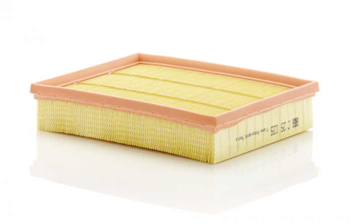 Filtru Aer Mann-Filter C25035 [1]