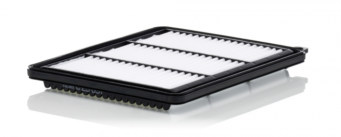 Filtru Aer Mann-Filter C25051 [1]