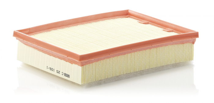 Filtru Aer Mann-Filter C25109/1 [1]