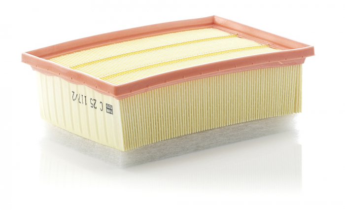 Filtru Aer Mann-Filter C25117/2 [1]