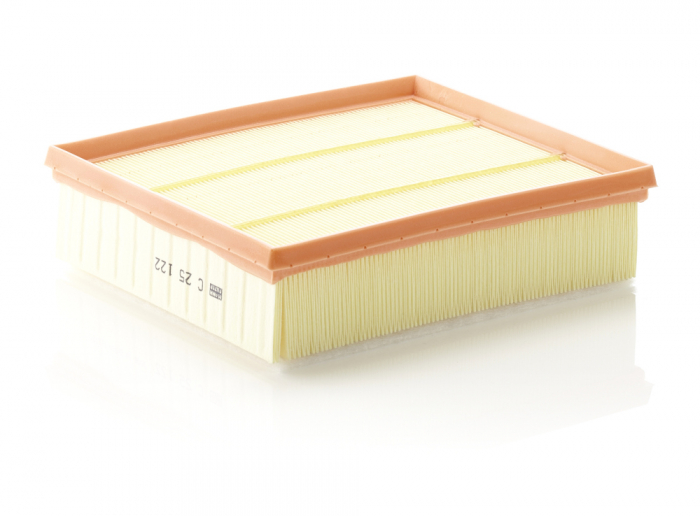 Filtru Aer Mann-Filter C25122 [1]