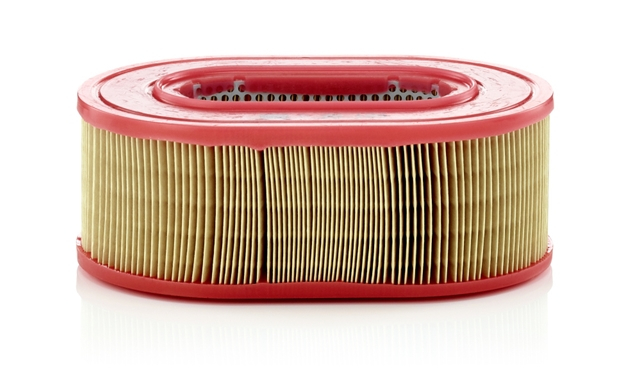 Filtru aer Mann-Filter C25124 [1]