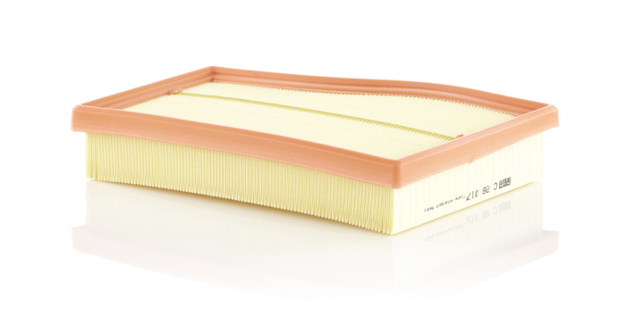 Filtru Aer Mann-Filter C26017 [1]