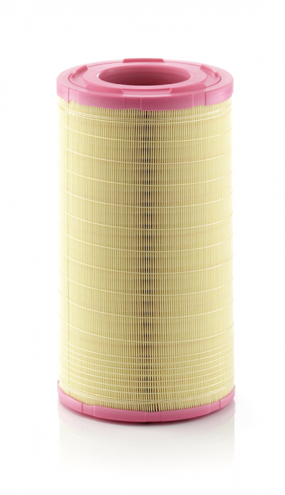 Filtru Aer Mann-Filter C261005 [1]