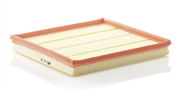Filtru Aer Mann-Filter C28125 [1]