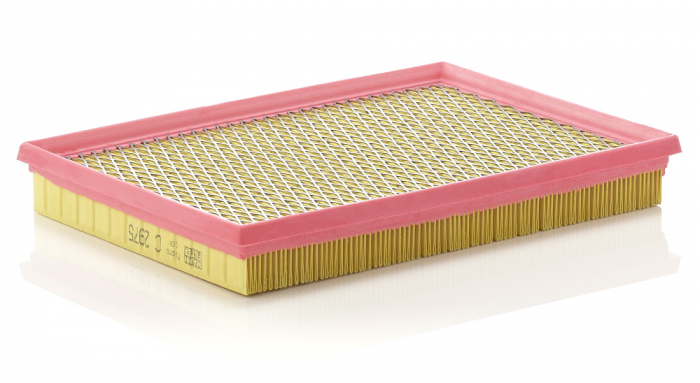 Filtru Aer Mann-Filter C2975 [1]