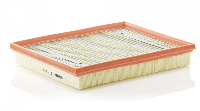 Filtru Aer Mann-Filter C30130/1 [1]