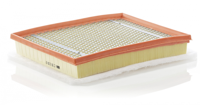 Filtru Aer Mann-Filter C30130/2 [1]