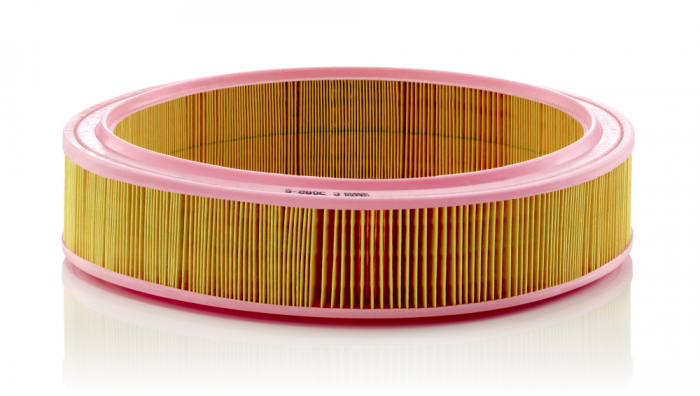 Filtru Aer Mann-Filter C3082/5 [1]
