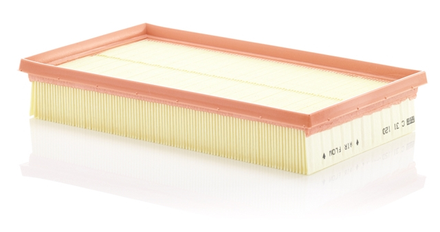 Filtru aer Mann-Filter C31120 [1]