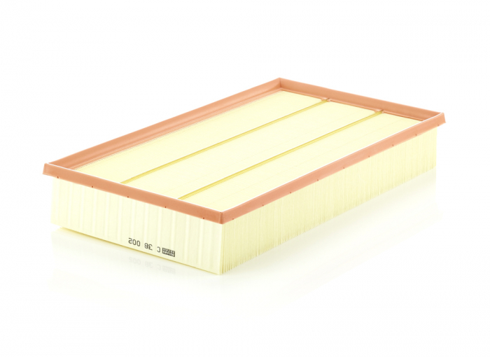 Filtru Aer Mann-Filter C38002 [1]
