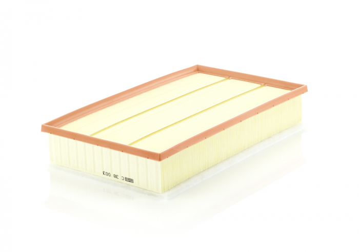 Filtru Aer Mann-Filter C38003 [1]