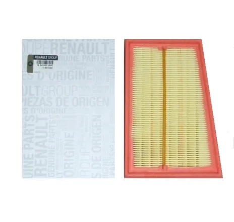 Filtru aer OE RENAULT 165463205R [1]